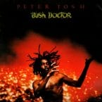 BUSH DOCTOR (USED VINYL)