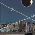 IN THE FLESH LIVE (USED DVD)