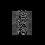 UNKNOWN PLEASURES (USED CD)