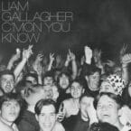 C'MON YOU KNOW (CD)