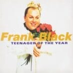 TEENAGER OF THE YEAR (2LP) (30TH ANNIVERSARY) (GOLD VINYL)