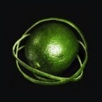 DOUBLE INFINITY (LIMITED EDITION) (GREEN VINYL)