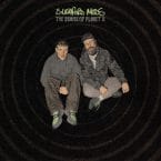 DEMISE OF PLANET X (LIMITED EDITION) (NEON GREEN MARBLE VINYL)