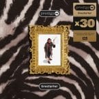 FIRESTARTER (30TH ANNIVERSARY) (VINYL)