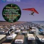MOMENTARY LAPSE OF REASON - REMIXED AND UPDATED (CD/BLURAY)