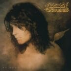 NO MORE TEARS (2LP) (VINYL)