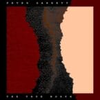 TRUE NORTH (VINYL)