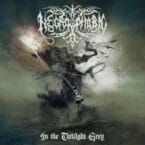 IN THE TWILIGHT GREY (DELUXE MEDIABOOK) (CD)