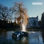 RUDIM3NTAL (VINYL)