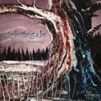 CLOSING CHRONICLES (VINYL)