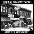 GROOVE IN THE FACE OF ADVERSITY (VINYL)