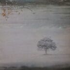 WIND AND WUTHERING (USED VINYL)