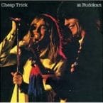 AT BUDOKAN (USED VINYL)