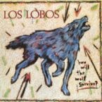 HOW WILL THE WOLF SURVIVE (USED VINYL)