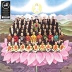 DARK HORSE (VINYL)