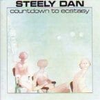 COUNTDOWN TO ECSTASY (USED VINYL)