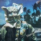 BLOODY TOURISTS (USED VINYL)