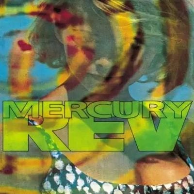 YERSELF IS STEAM / CAR WASH HAIR (2LP) (VINYL)