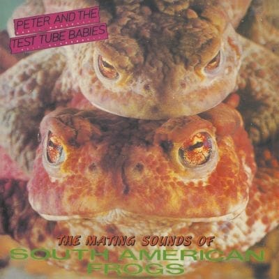 MATING SOUNDS OF SOUTH AMERICAN FROGS (VINYL)