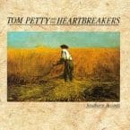 SOUTHERN ACCENTS (USED VINYL)