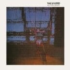 ALL FALL DOWN (CD)