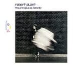 PRINCIPLE OF MOMENTS (USED VINYL)