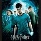 ORDER OF THE PHOENIX FRAMED SMALL 3D POSTER