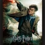EXPELLIARMUS FRAMED SMALL 3D POSTER