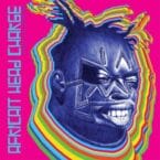 A TRIP TO BOLGATANGA (CD)