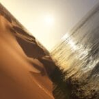 UNDER THE SUN (2LP) (VINYL)
