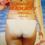VERY BEST OF THE BEACH BOYS VOL 1 (USED VINYL)