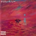 WE'RE ALL ALONE IN THIS TOGETHER (2LP) (VINYL)