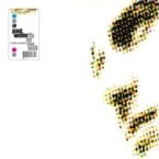 FLY ON THE WALL - B SIDES AND RARITIES (2LP) (VINYL)