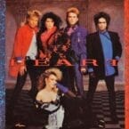 HEART (VINYL)
