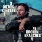 BROKEN BRANCHES (CD)