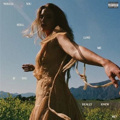 WOULD YOU STILL LOVE ME IF YOU REALLY KNEW ME (VINYL)