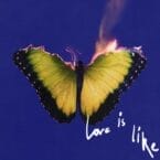 LOVE IS LIKE (CD)