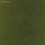 UNTITLED UNMASTERED (CD)
