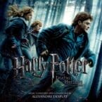 HARRY POTTER AND THE DEATHLY HALLOWS PART 1 (2LP) (VINYL)