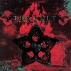 BEYOND GOOD AND EVIL (2LP) (LIMITED EDITION) (RED/GREEN VINYL)