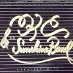 GREATEST HITS (USED VINYL)