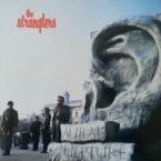 AURAL SCULPTURE (USED VINYL)