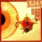 KICK INSIDE (USED VINYL)