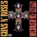 APPETITE FOR DESTRUCTION (VINYL)