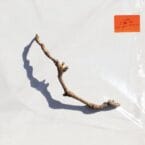 I INSIDE THE OLD YEAR DYING (VINYL)