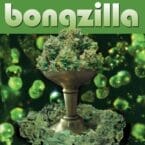 STASH (LIMITED EDITION) (GREEN GALAXY VINYL)