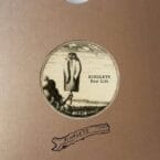 NEW LIFE (VINYL)