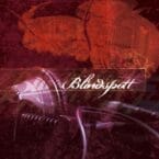 BLINDSPOTT (2LP) (VINYL)