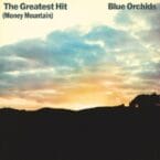 GREATEST HIT (MONEY MOUNTAIN) (2LP) (VINYL)