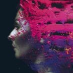 HAND CANNOT ERASE (2LP) (VINYL)